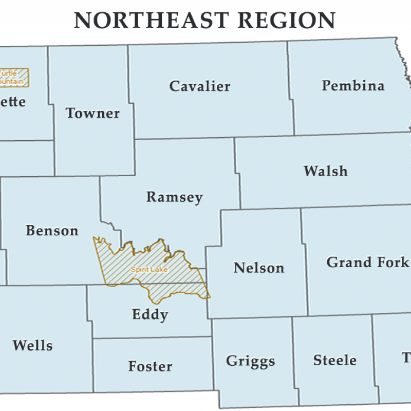 ND Emergency Management North East Region Map