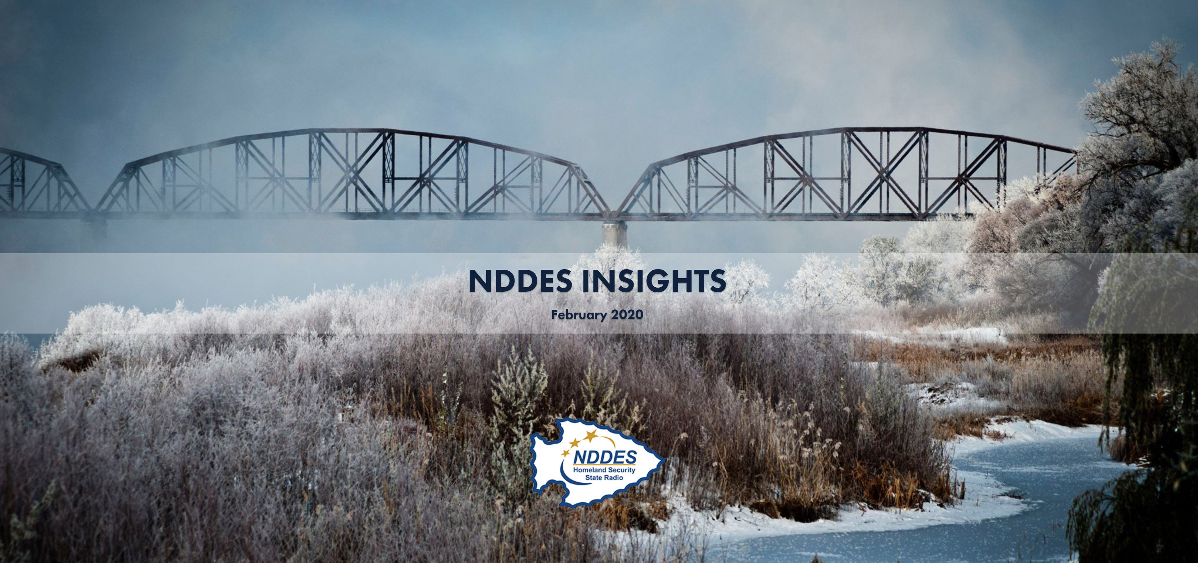 NDDES Insights
